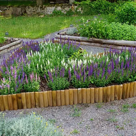 Kloster Neustadt Neustadt an der Weinstraße